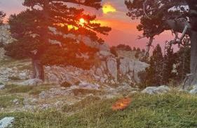 Villa Manca - Photo 29