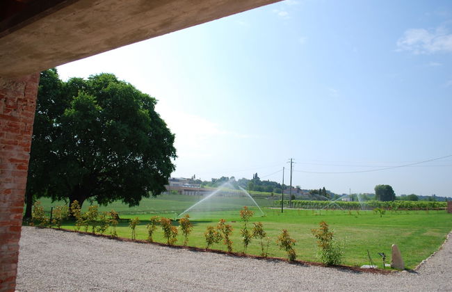 Agriturismo Bosco del Gal - Photo 43