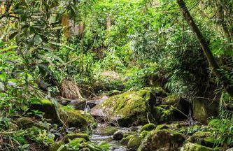 Dingo - Refugio romântico em meio à natureza - Photo 6