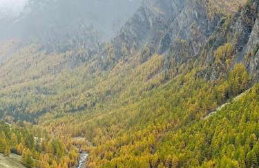 Paradis St Véran - Foto 63