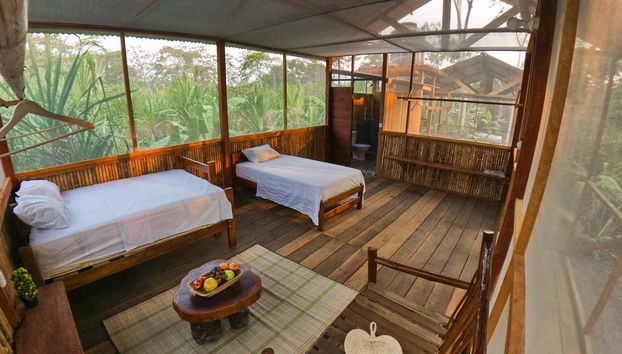 Stay in a room in the middle of the jungle