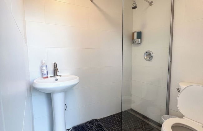 El Yunque Rainforest - Photo 17