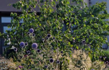 Boardinghouse Steinen - Foto 5