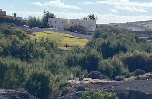 Old King's beach house - Photo 9