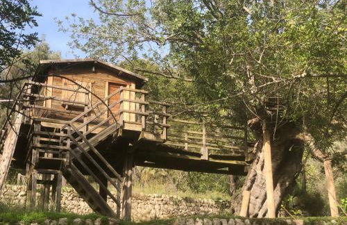 La Zalema - Photo 42