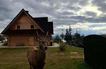 Czas na góry i las, dom z bala, sauna - Photo 27