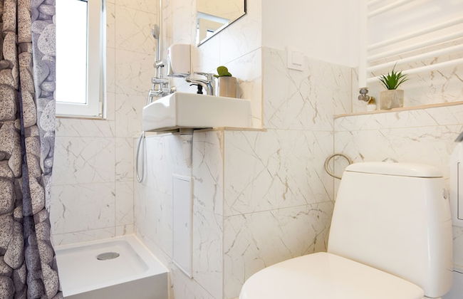 Homey - Bulevardul Carol 1 no. 45 - Foto 58