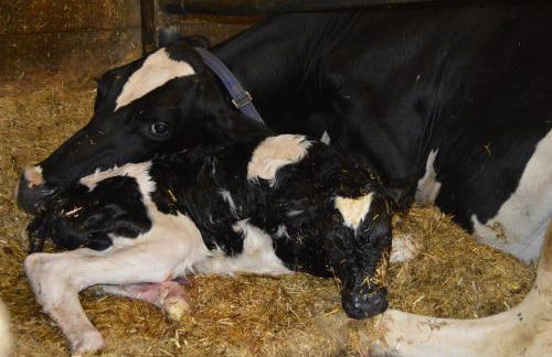 Agriturismo Anví - Photo 32