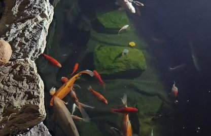 Peaceful home - Foto 50