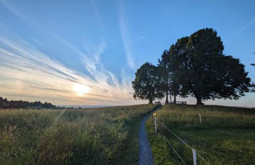 FeWo Vergissmeinnicht - Foto 28