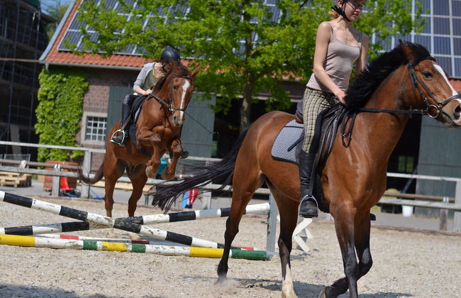 Ponyhof Georgenbruch - Photo 50