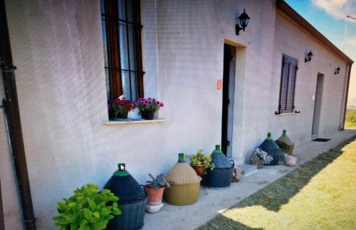 Su Cuile historical country house with barbecue - Foto 44