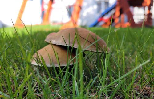 Apartamenty Morski Brzeg - Sauna, Balia - Foto 24