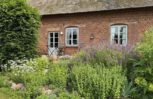 Kutscherremise Gut Niendorf - ABC592 - nur Feriengäste! - Foto 24