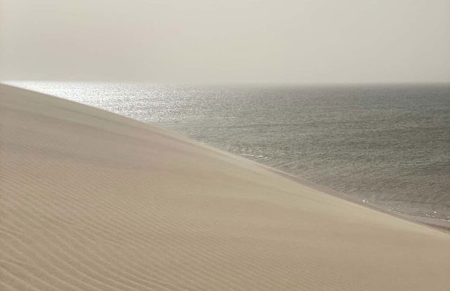 Dajli White Dune 4x4 Private Tour - Foto 4