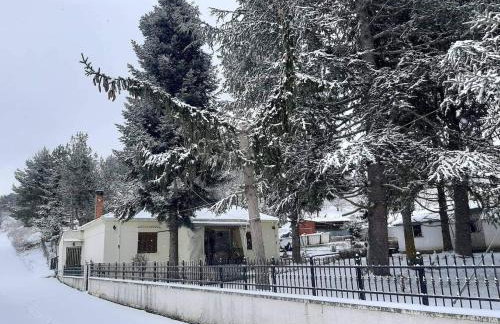 Country destination in mountainous Trikala! - Photo 29