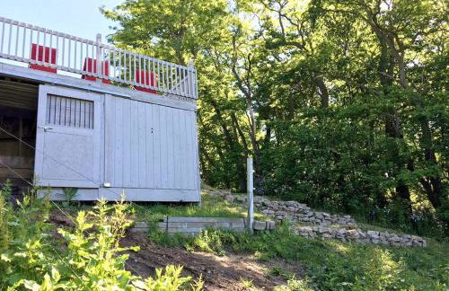 Lovely Cottage Rental with a Pool and Stunning Garden near Grand Rapids in Michigan - Foto 16