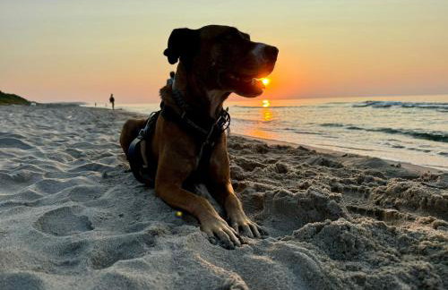 Ferienhaus Sieroslaw polnische Ostsee mit Kamin - Photo 49