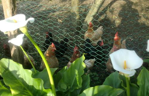 Arriola Txiki - Photo 68