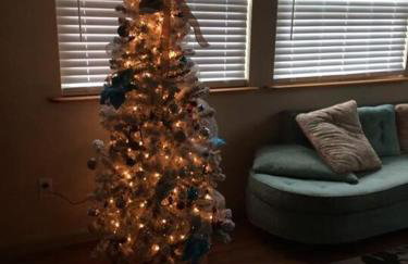 The Bird House near Fall Creek Falls State Park - Foto 46