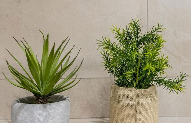 Edgar Suites Paris Louvre - Richelieu 2 - Foto 14