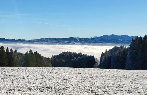 Alpinchalet Bergahorn - luxeriöse Wohnung mit Sauna und grosser Terrasse - Photo 6