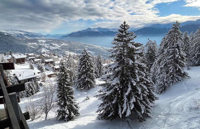 Les Cerfs - Appartement & Studio - Foto 29