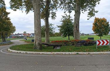 EBS Paradies - Foto 40