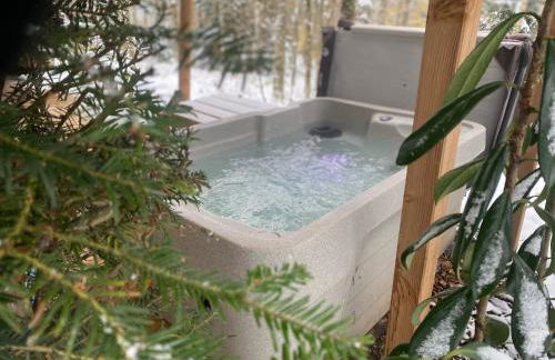 Vosges Hygge - Chalets Lodges & Spa - Foto 80