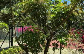 Cortijo de Mariangela UNO - Foto 40