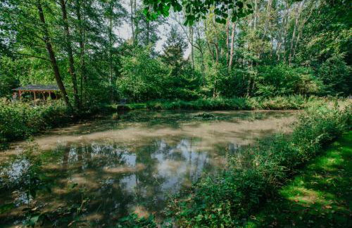 Ferienwohnung Panorama Teichblick - Foto 23