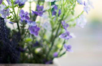 Friendly Home - Gemütliches Backsteinhaus - Foto 36