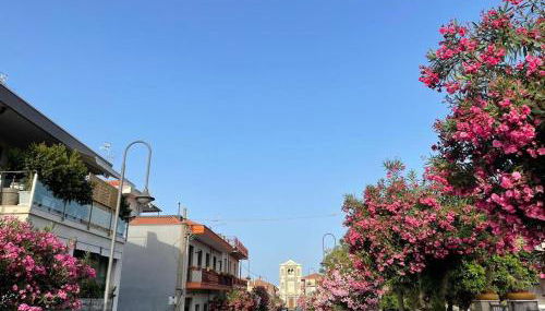 Tuttifrutti holiday - Foto 4