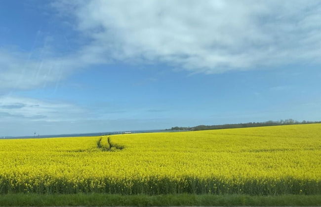 My Baltic Sea Place House by the sea 7 - Foto 18