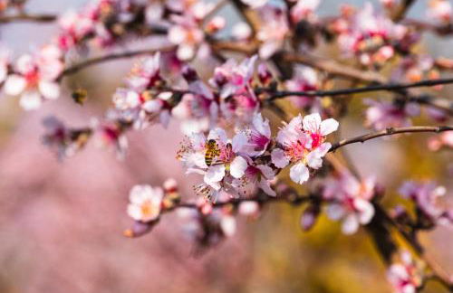 Alba Morus - Photo 44