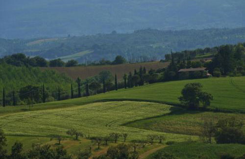 Agriturismo La Casetta del Sole - Photo 31