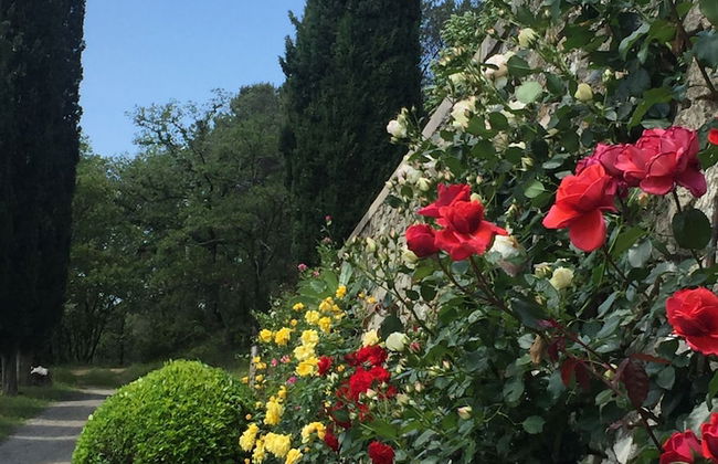 Poggio Corsucci - Foto 64