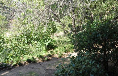 2BA Domaine Malacucina Lumio - Foto 70