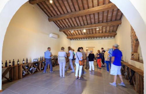 Agriturismo Streda Wine & Country Holiday - Foto 132