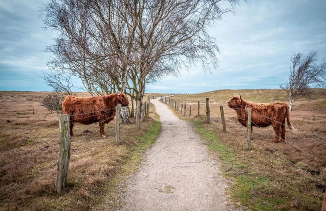 Ferienhaus in Neu Poserin for 5 Personen - Foto 37