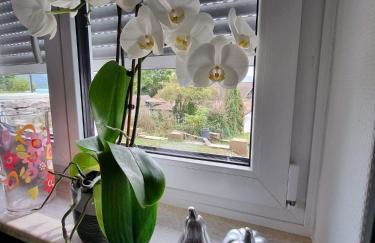 Holiday Apartment Moises y Ruth - Foto 19