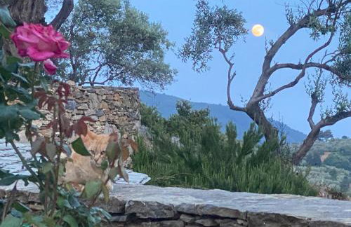 Laas Daskios, Stone Country House, Skopelos Anania - Foto 2