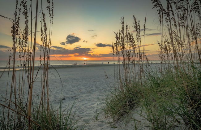 Summer Place - Foto 12