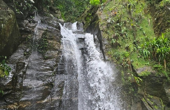 Visita guiada al bosque de Tijuca para grupos pequeños - Foto 37