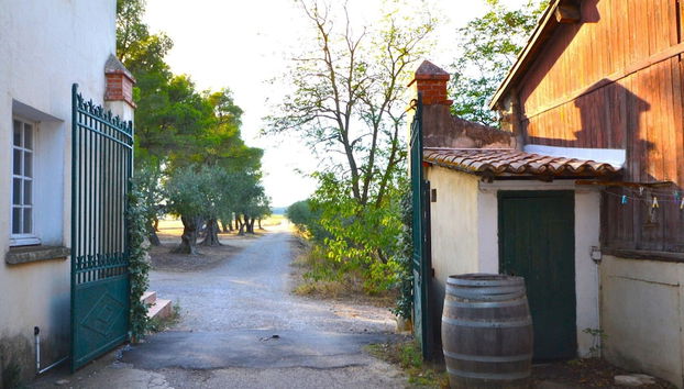 Apartment With Pool Amid Vineyards and Near the Beach - Foto 3, Recepción