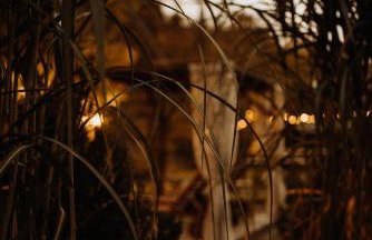 Szumilove Domki z saunami w Bieszczadach - Foto 41