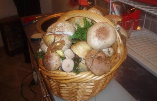 Studio apartment in Mali Losinj with terrace, air conditioning, WiFi, washing machine 4913-2 - Foto 46