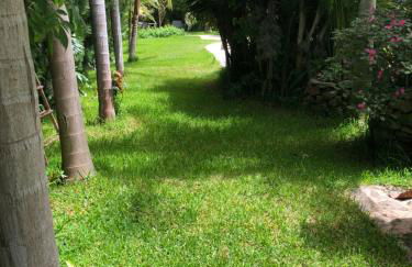 Taburiente - Foto 41