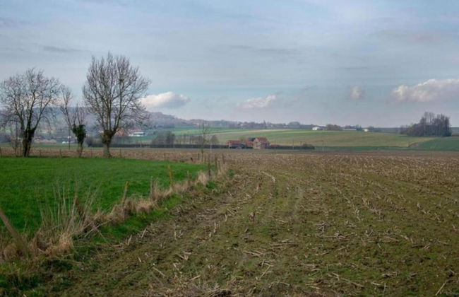 Family Farmhouse, Ploegsteert - Foto 40