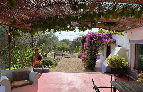 Courela do Monte Novo - Photo 20